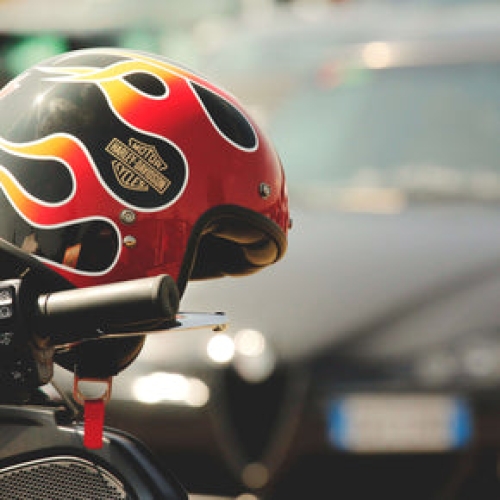 We guarantee the premium quality and fair prices of our goods.